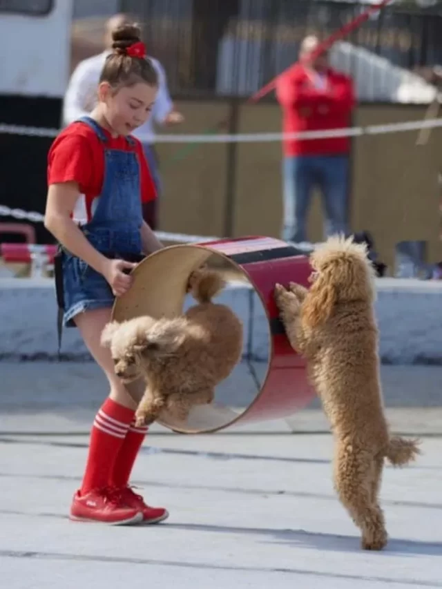 AGT 17 Audition video: Veronica and her friends' magical performance