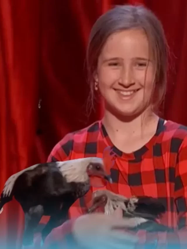 AGT 17 Audition video: The bock and roll band's talented chickens