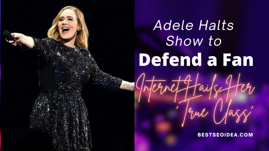 Adele Halts Show to Defend a Fan Which was Liked Too Much