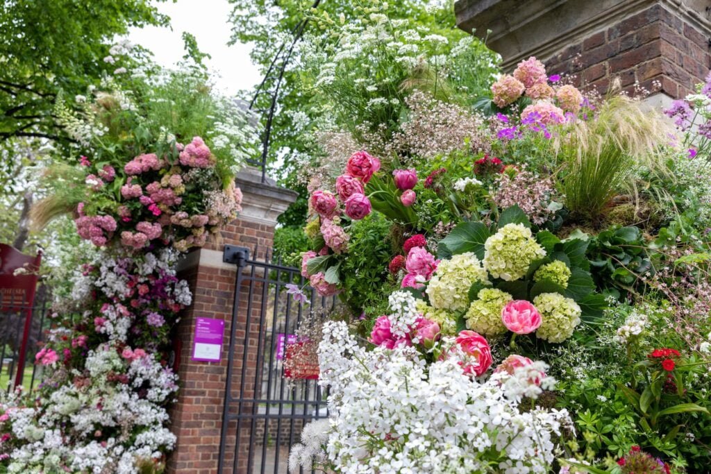 Chelsea Flower Show 2024 Mark Your Calendars for New Blooms and Buzz