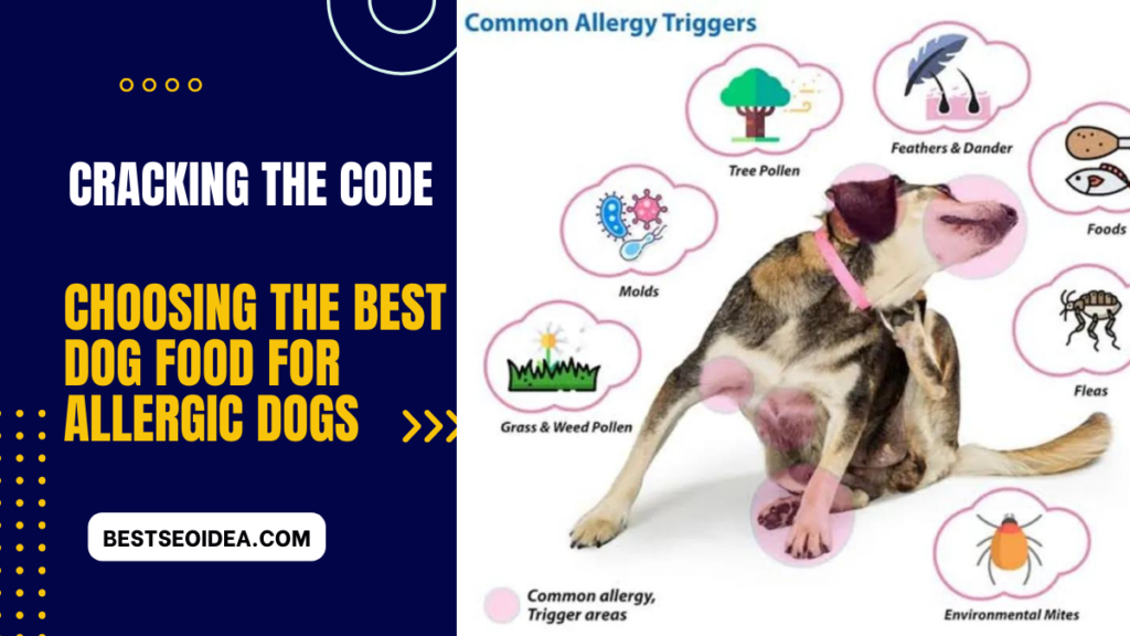 Cracking the Code: Choosing the Best Dog Food for Allergic Dogs in 2024 ...